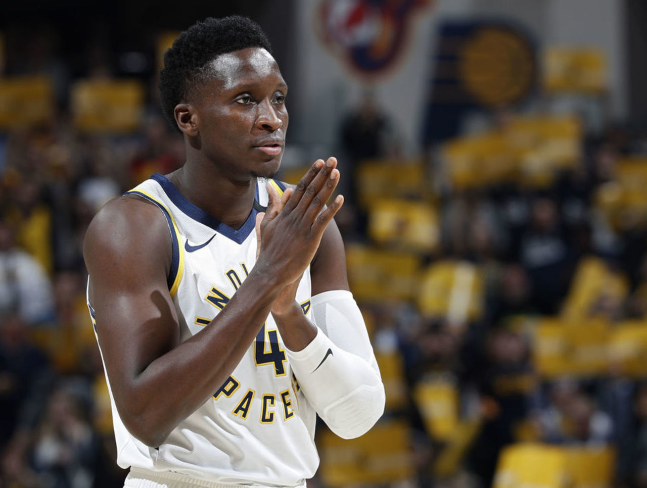 这种多元化 这种多元化