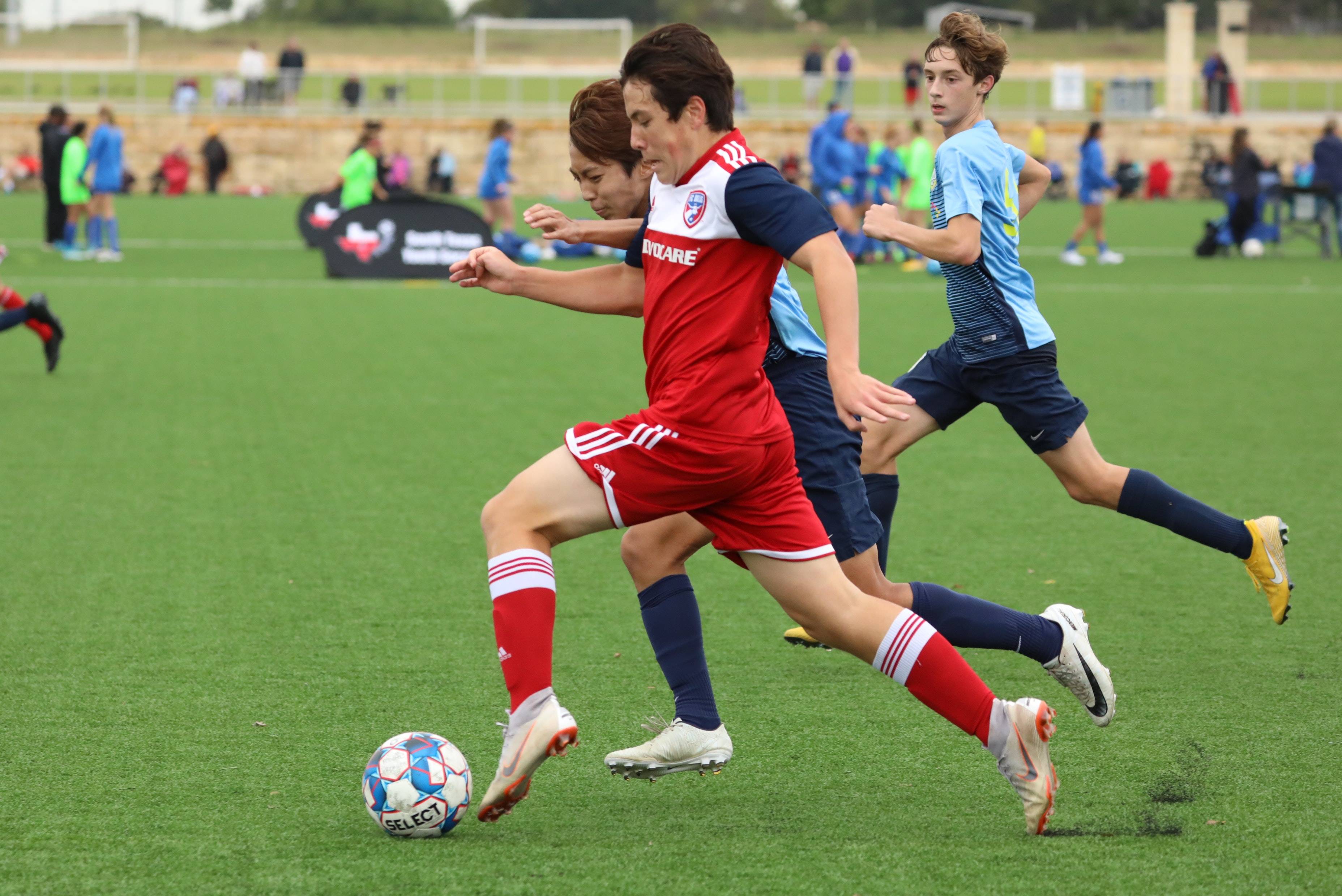 训练中表现 训练中表现