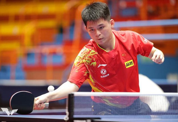 3樊振东 3樊振东